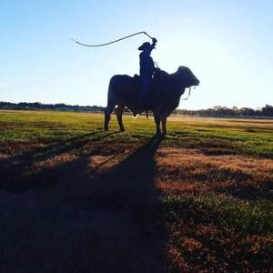 Meet your Posher, Colt